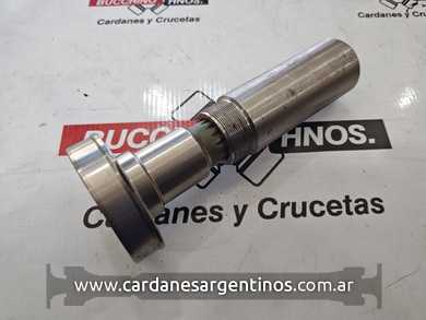 Macho%20y%20hembra%20z%2015%20x%2025%20mm